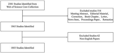 Sudden unexpected death in epilepsy: A bibliometric overview